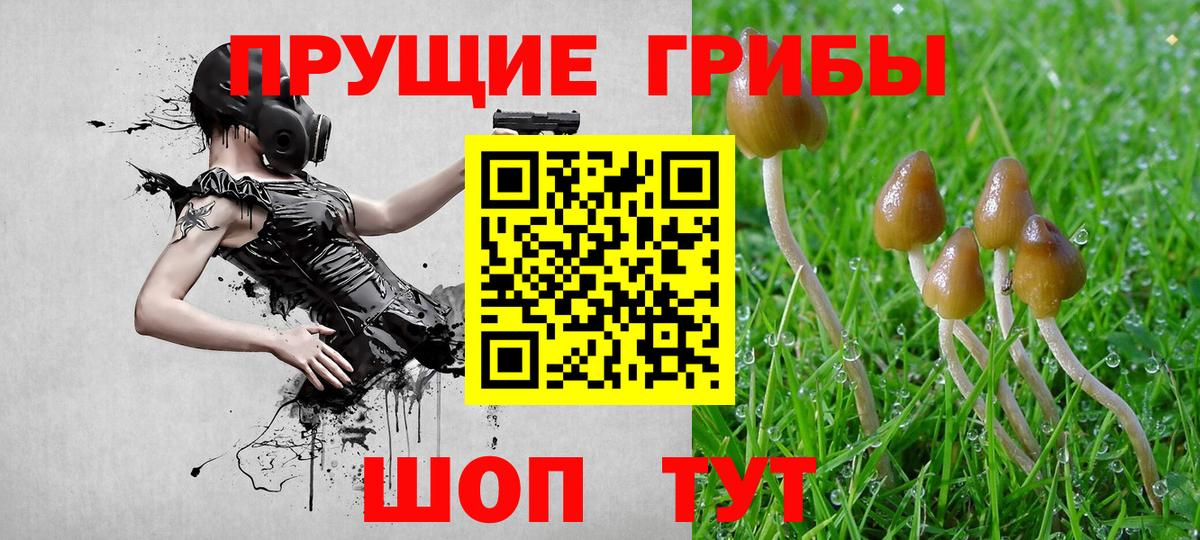 Сердобск  Галлюциногенные грибы Magic Shrooms  Вход с VPN  Галлюциногенные грибы GOLDEN TEACHER 